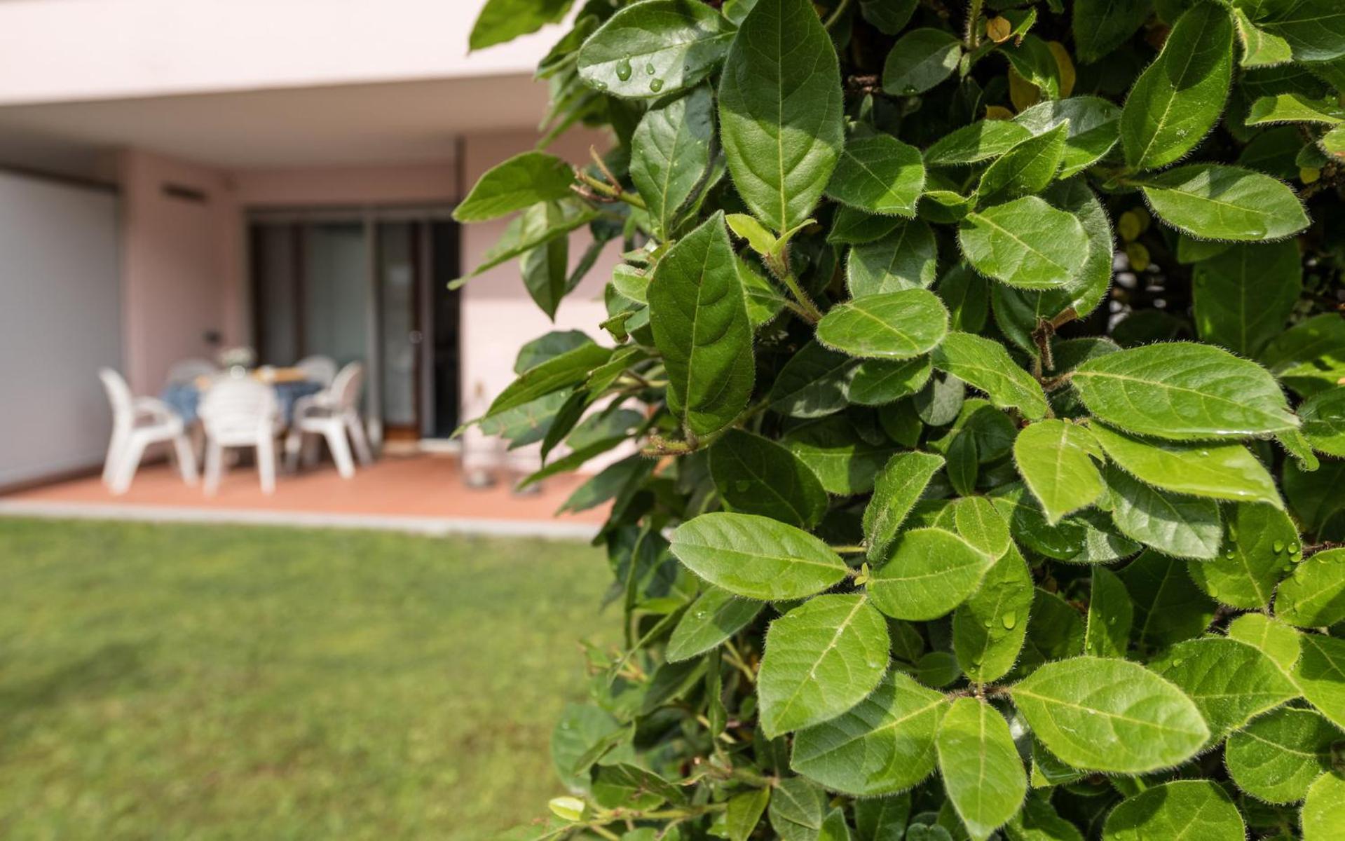 Costa Rica Bibione Eco Resort エクステリア 写真
